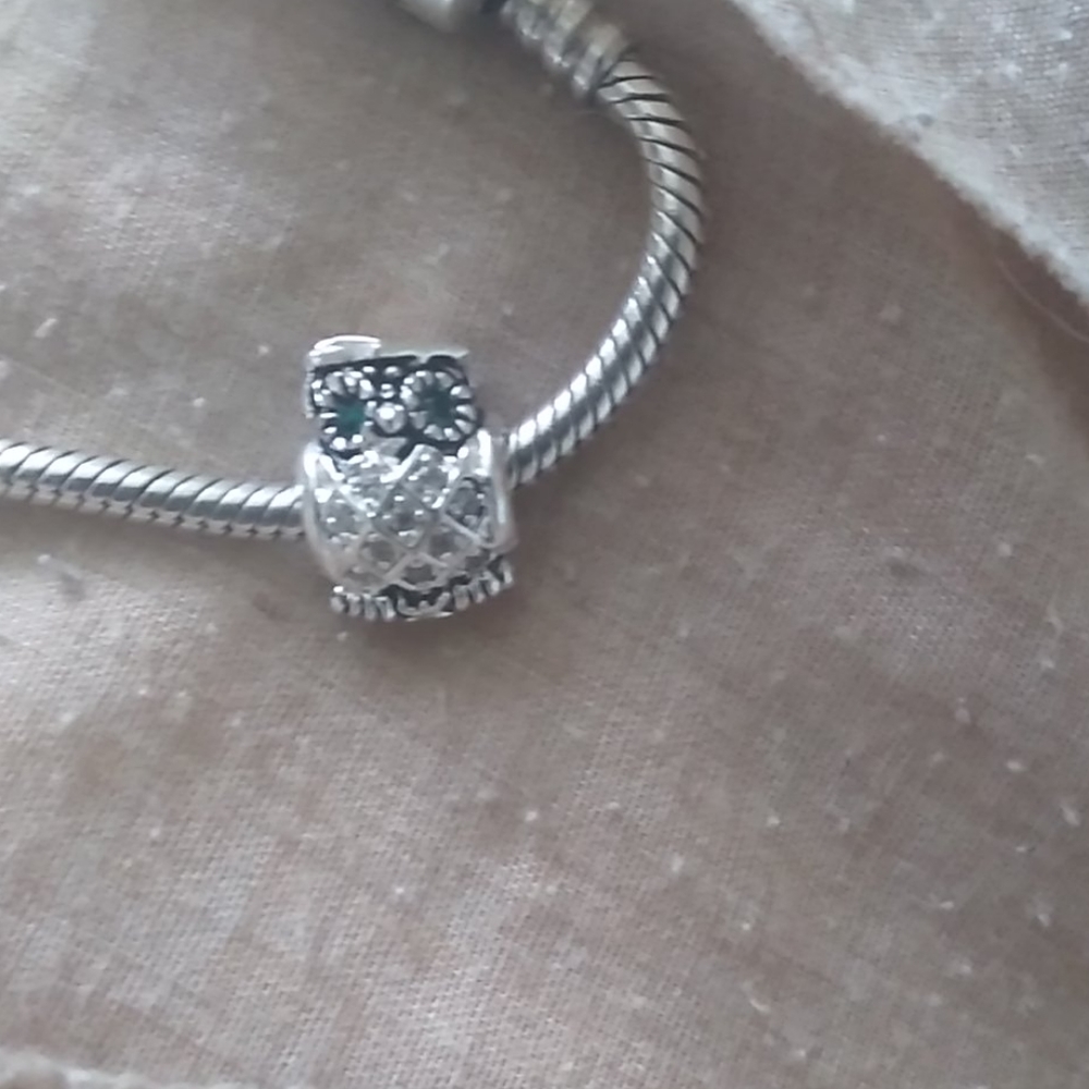 scholar owl charm
